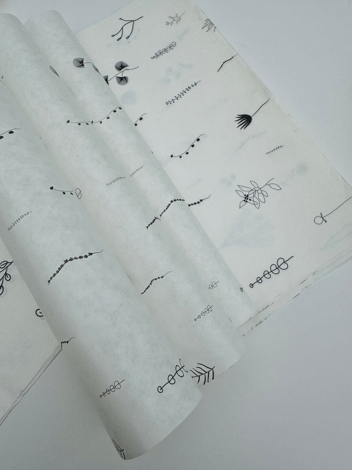 Printed Butter Paper