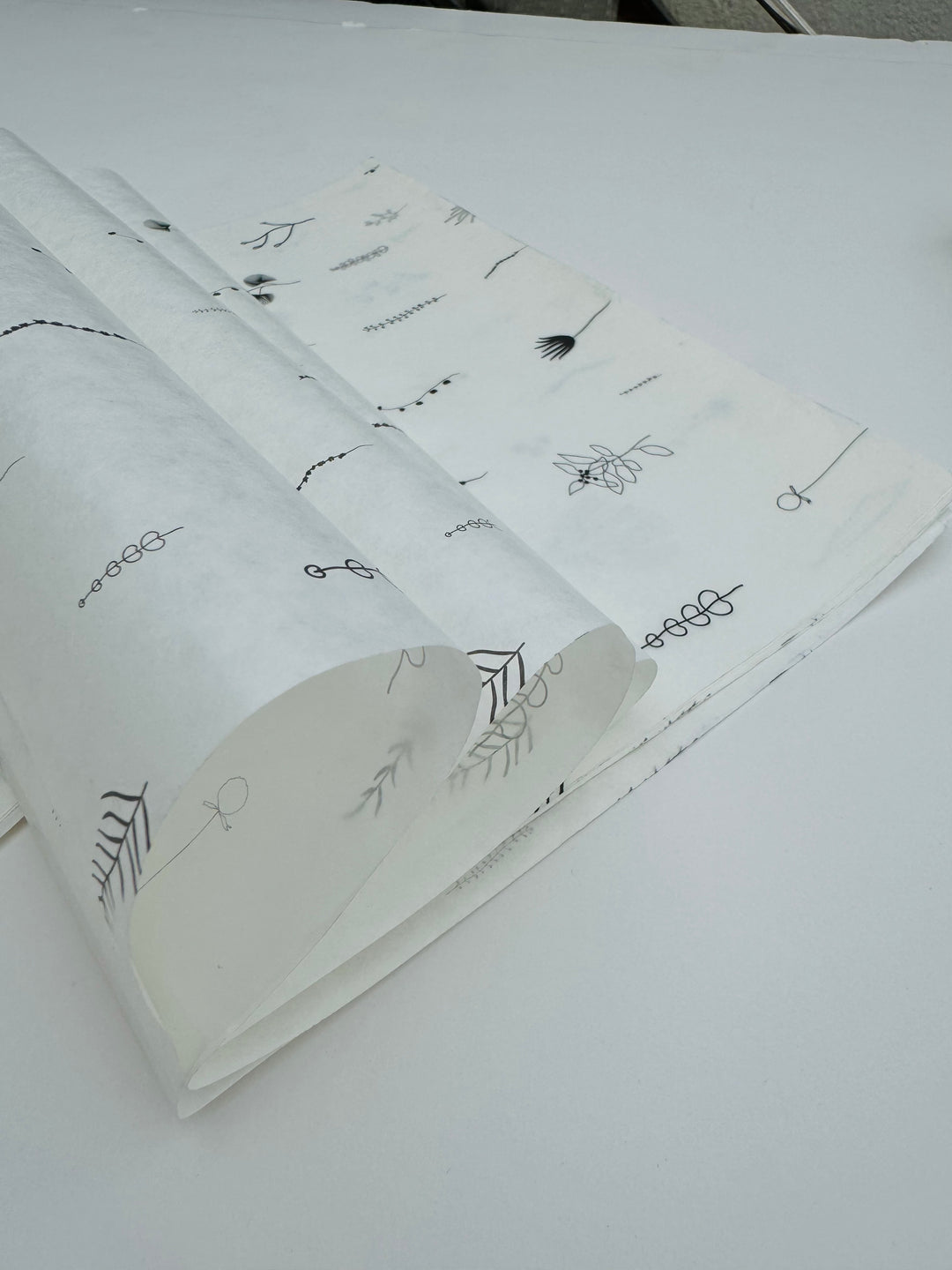 Printed Butter Paper