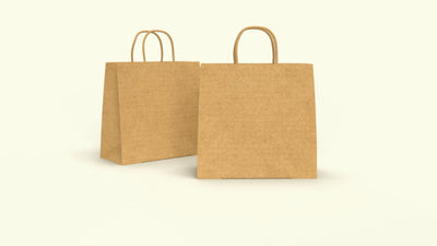 brown paper bag with handle