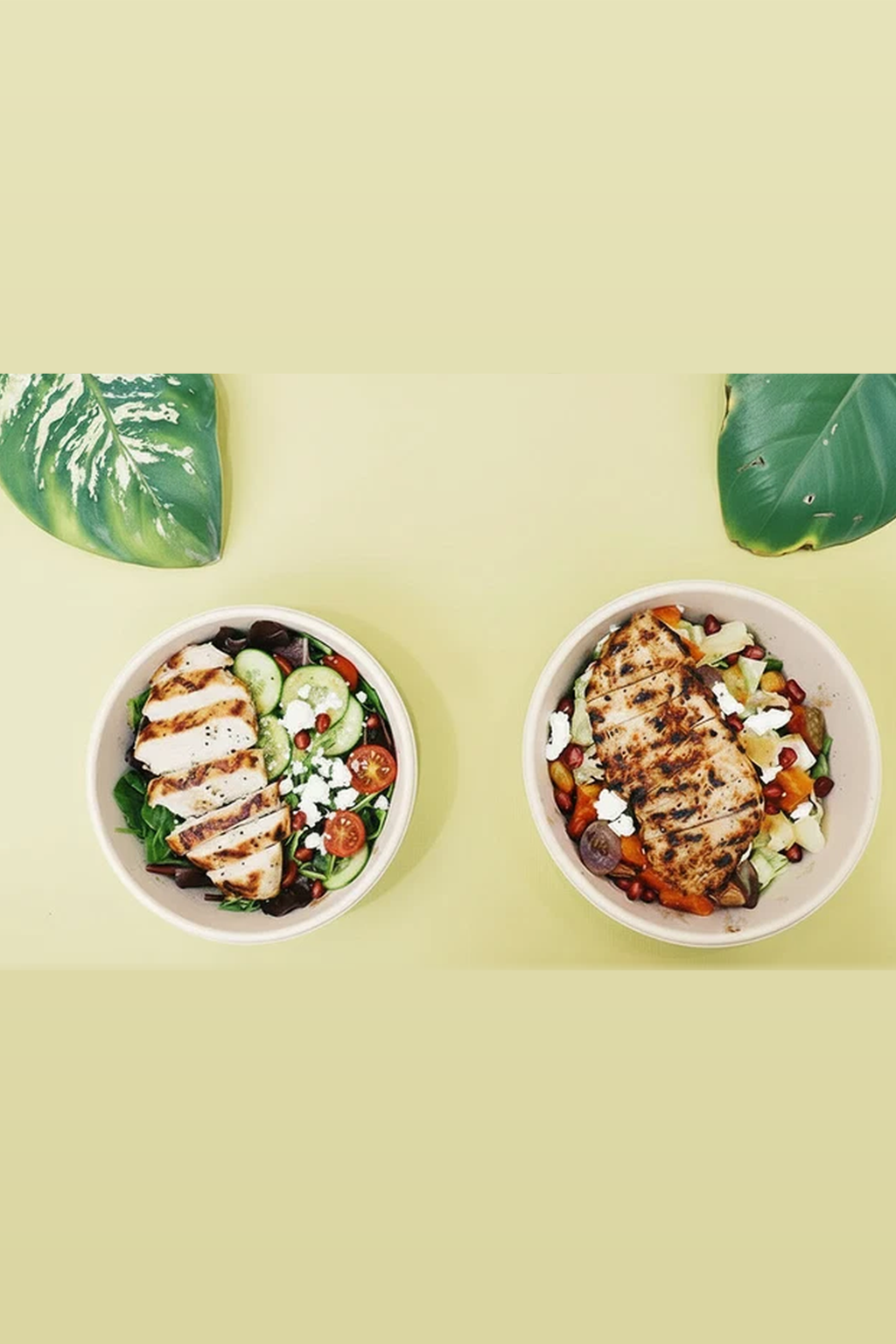 Bagasse Bowls