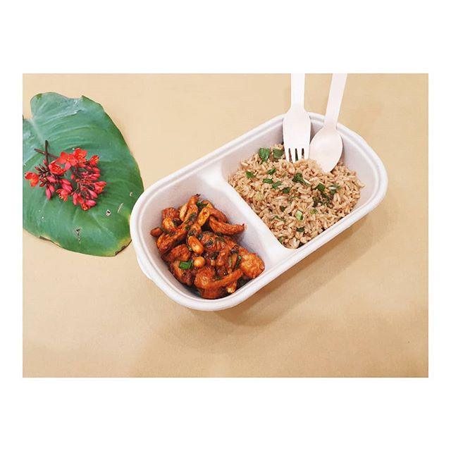 1000ml Bagasse 2 compartment bowl - EcoPakOnline