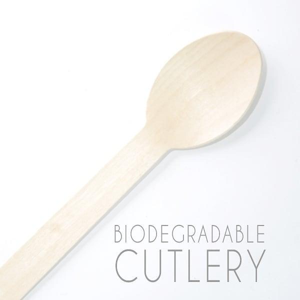 160 mm Spoon Fork Knife Bundle - EcoPakOnline