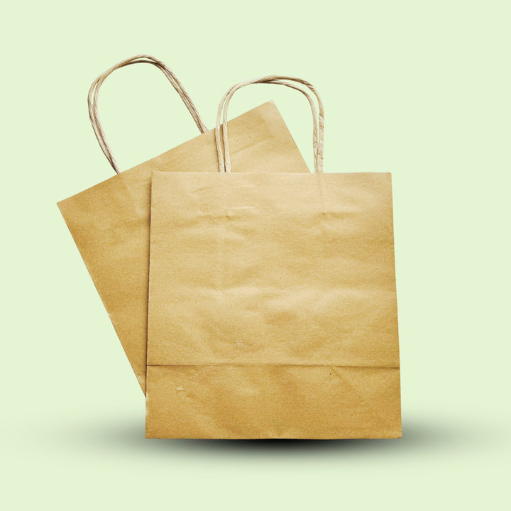 Kraft shopping/ Gift bag with twisted rope 12" x 10" x 4.5" inches