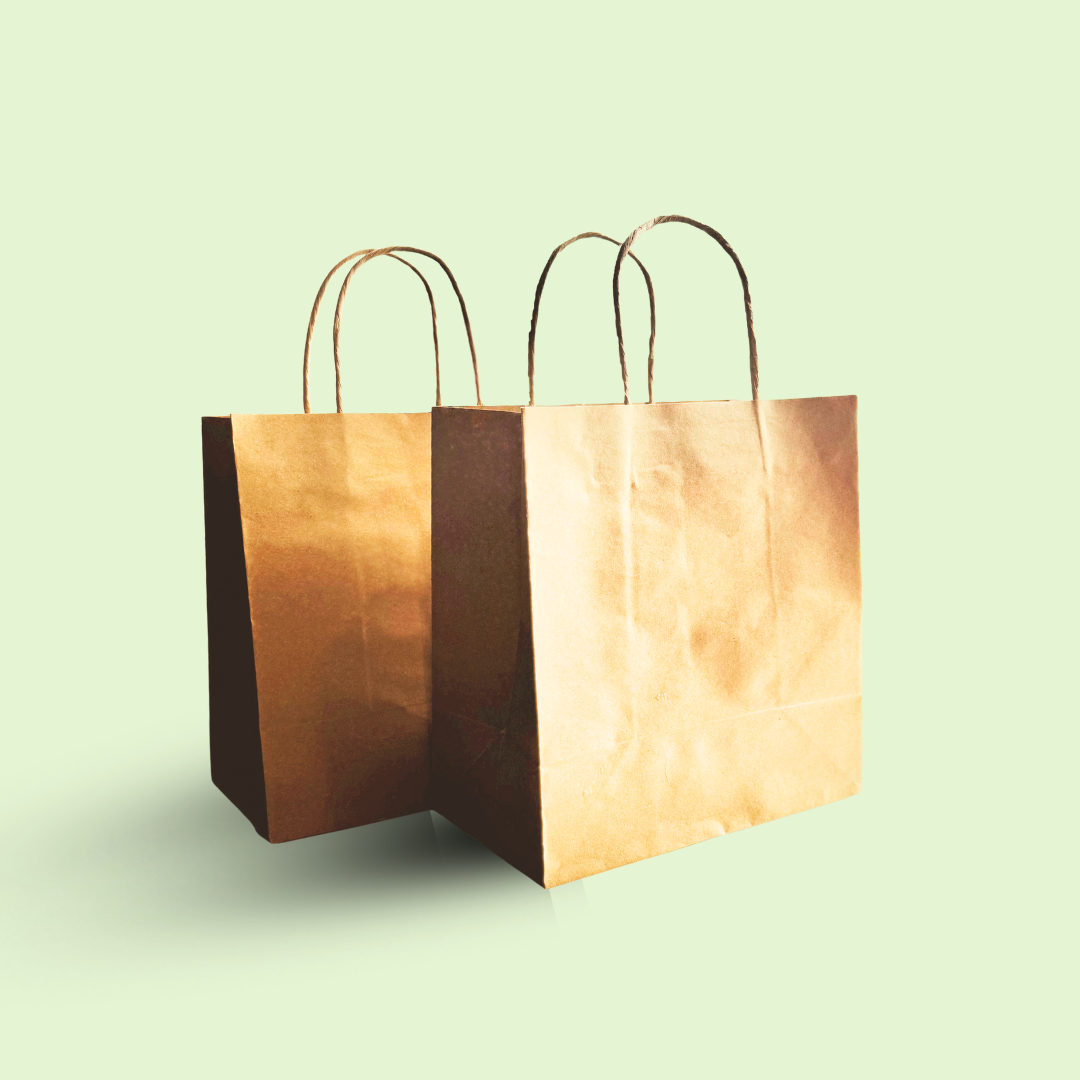 Kraft shopping/ Gift bag with twisted rope 12" x 10" x 4.5" inches