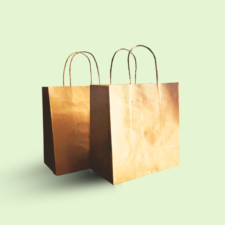 Kraft shopping/ Gift bag with twisted rope 12" x 10" x 4.5" inches