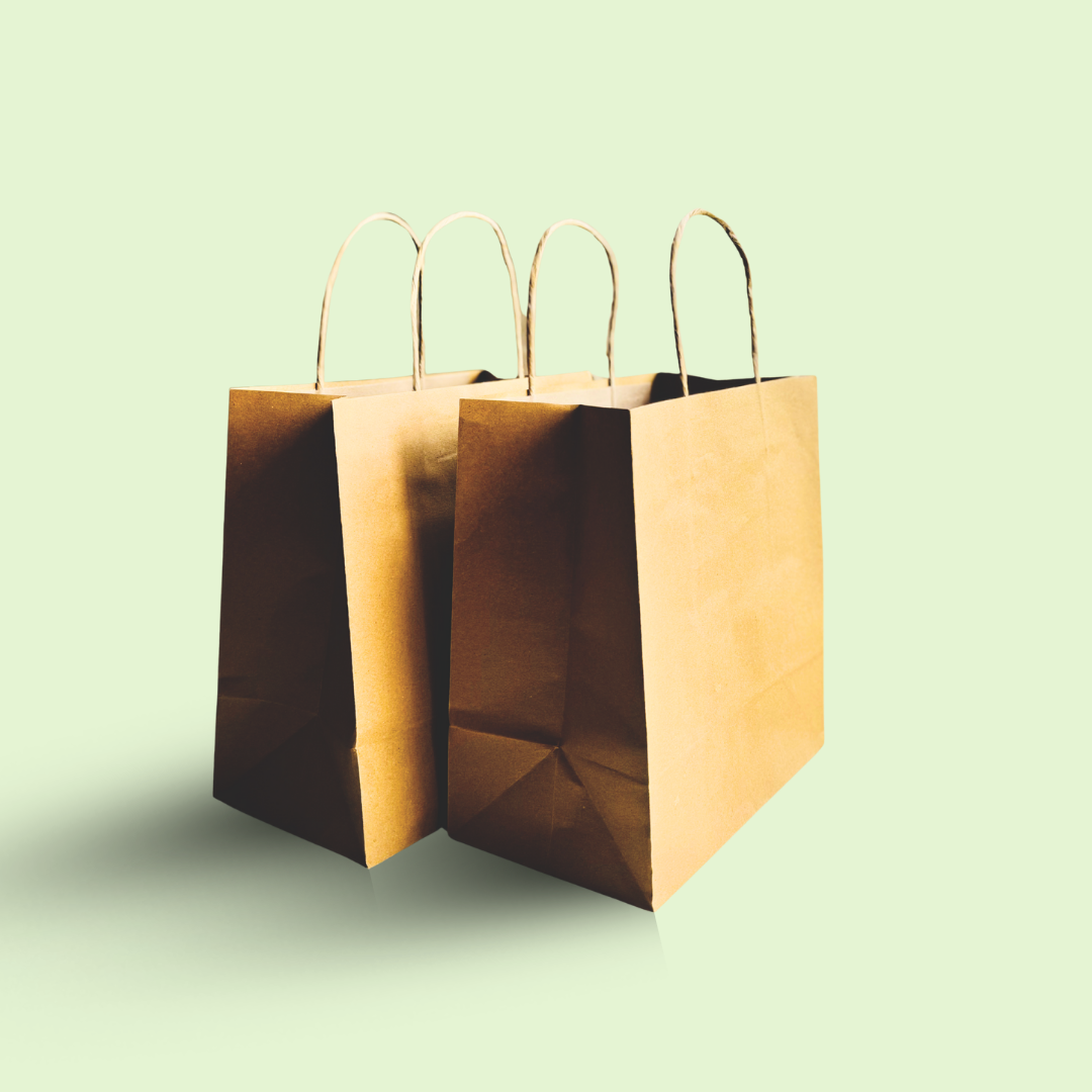 Kraft shopping/ Gift bag with twisted rope 12" x 10" x 4.5" inches