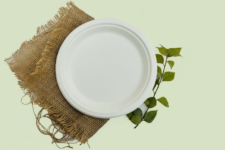 Bagasse range sample pack