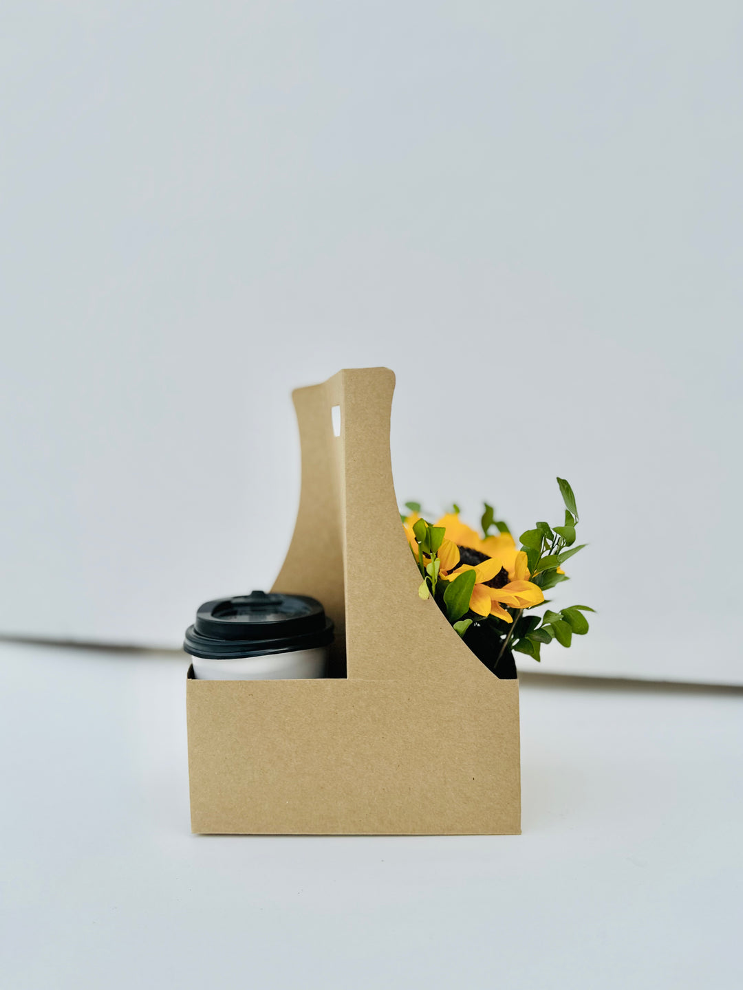 Kraft bowl Carrier