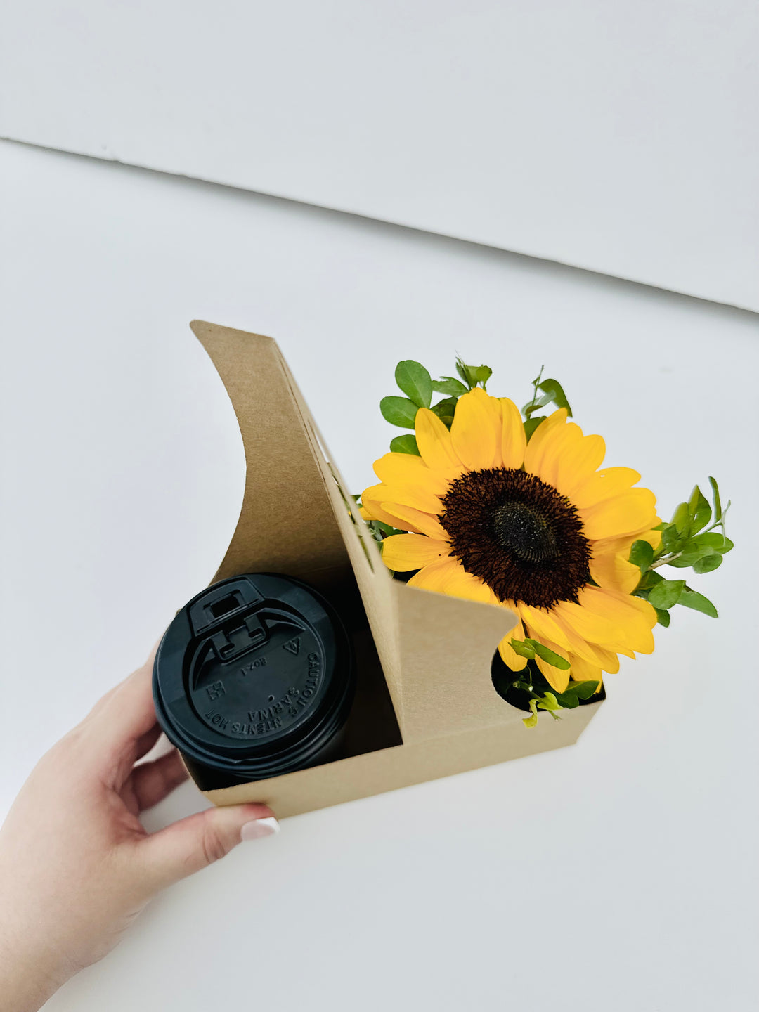 Kraft bowl Carrier
