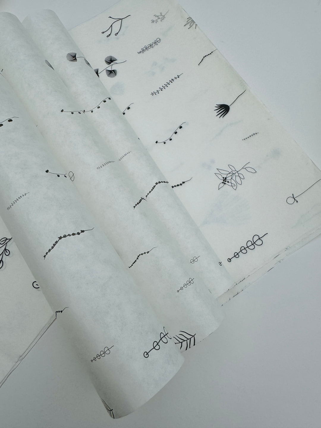 Printed Butter Paper