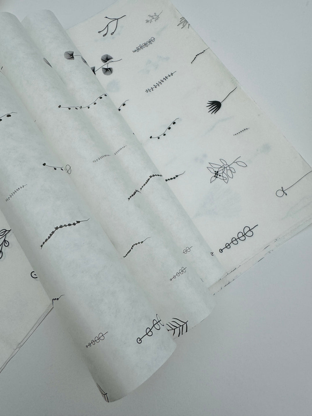 Printed Butter Paper