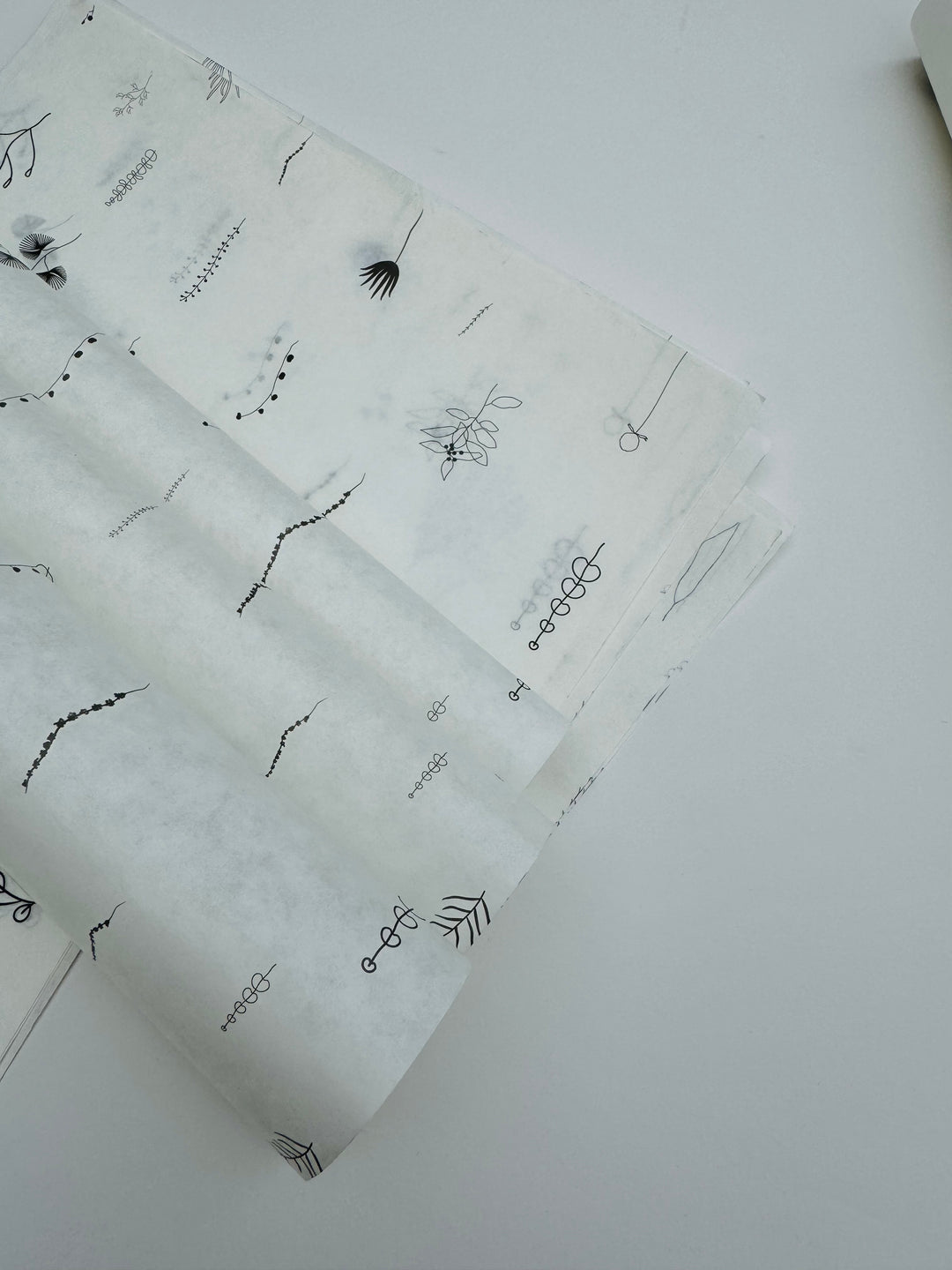 Printed Butter Paper