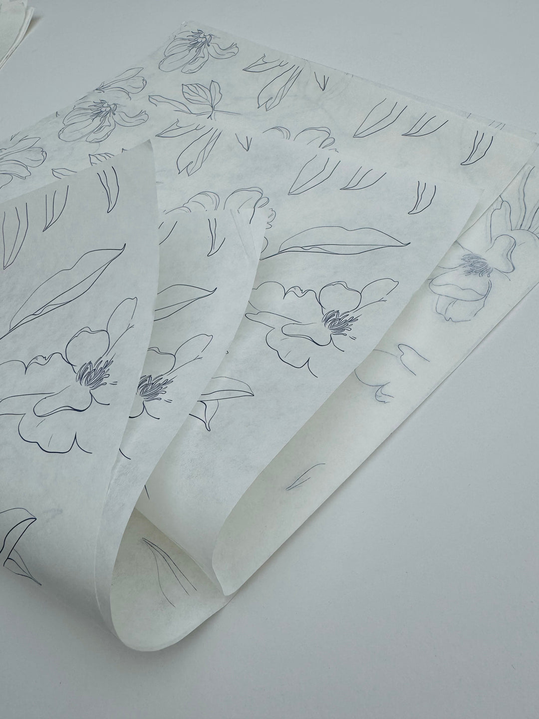 Printed Butter Paper