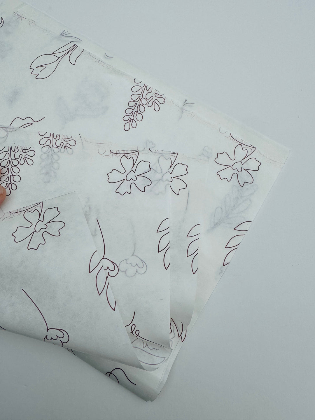 Printed Butter Paper