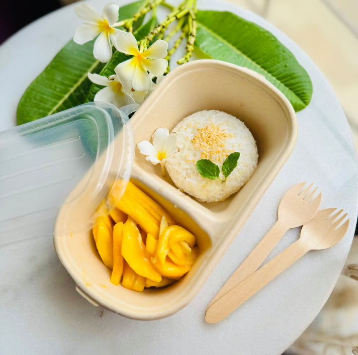 1000ml Bagasse 2 compartment bowl