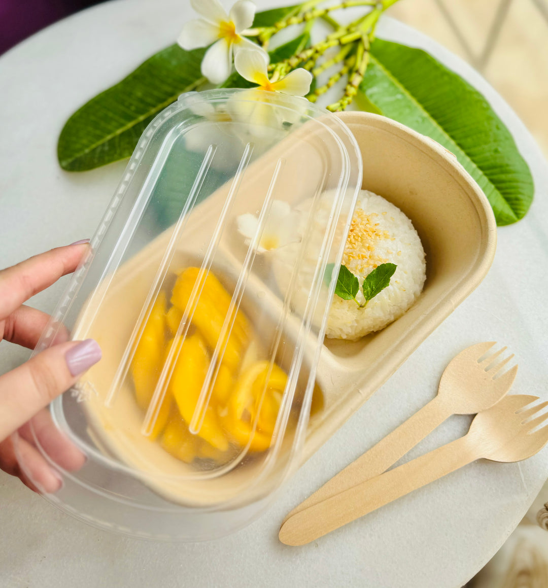 1000ml Bagasse 2 compartment bowl
