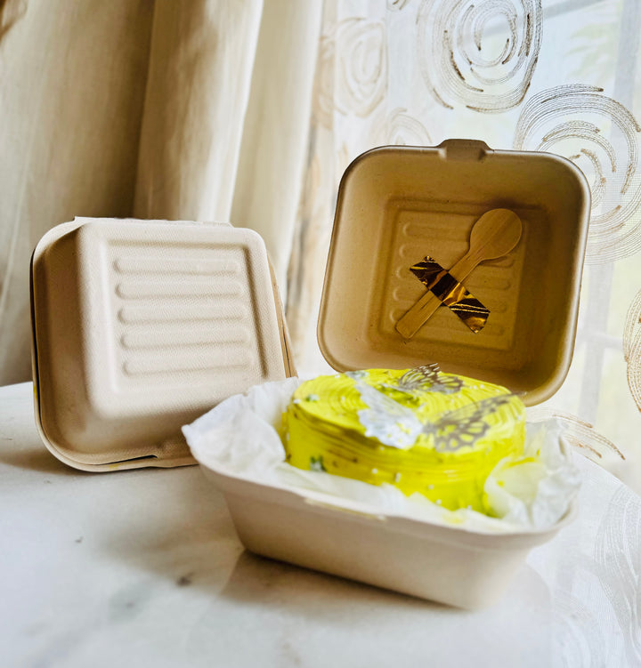 Bagasse Bento cake box/ Lunch box