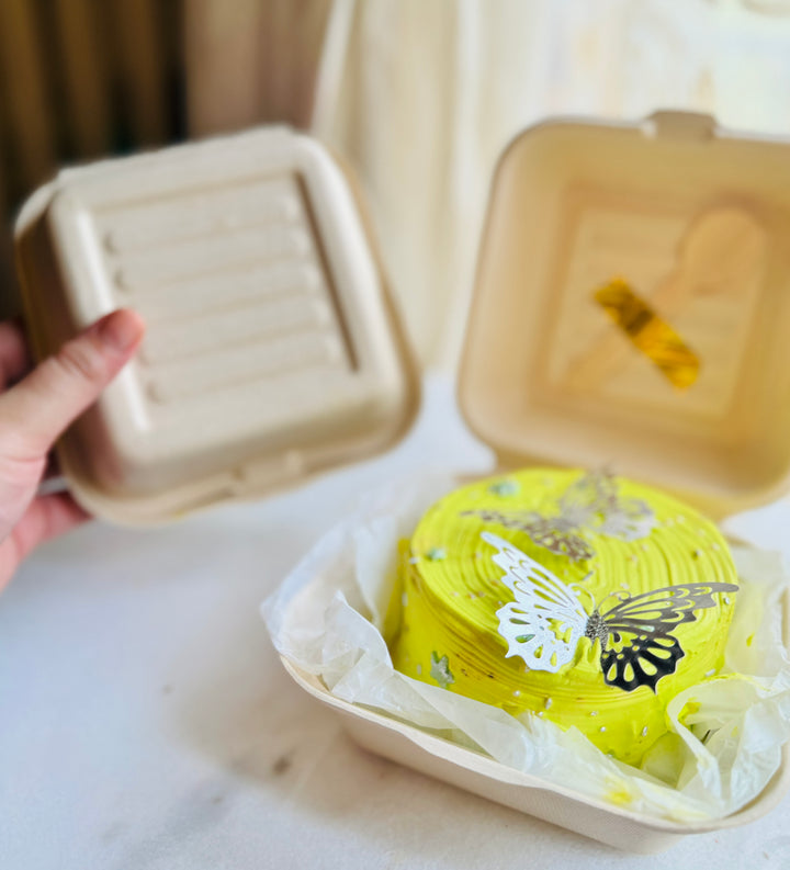 Bagasse Bento cake box/ Lunch box