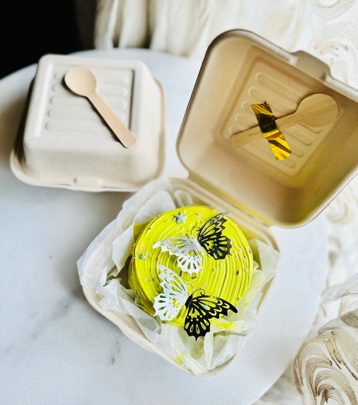 Bagasse Bento cake box/ Lunch box