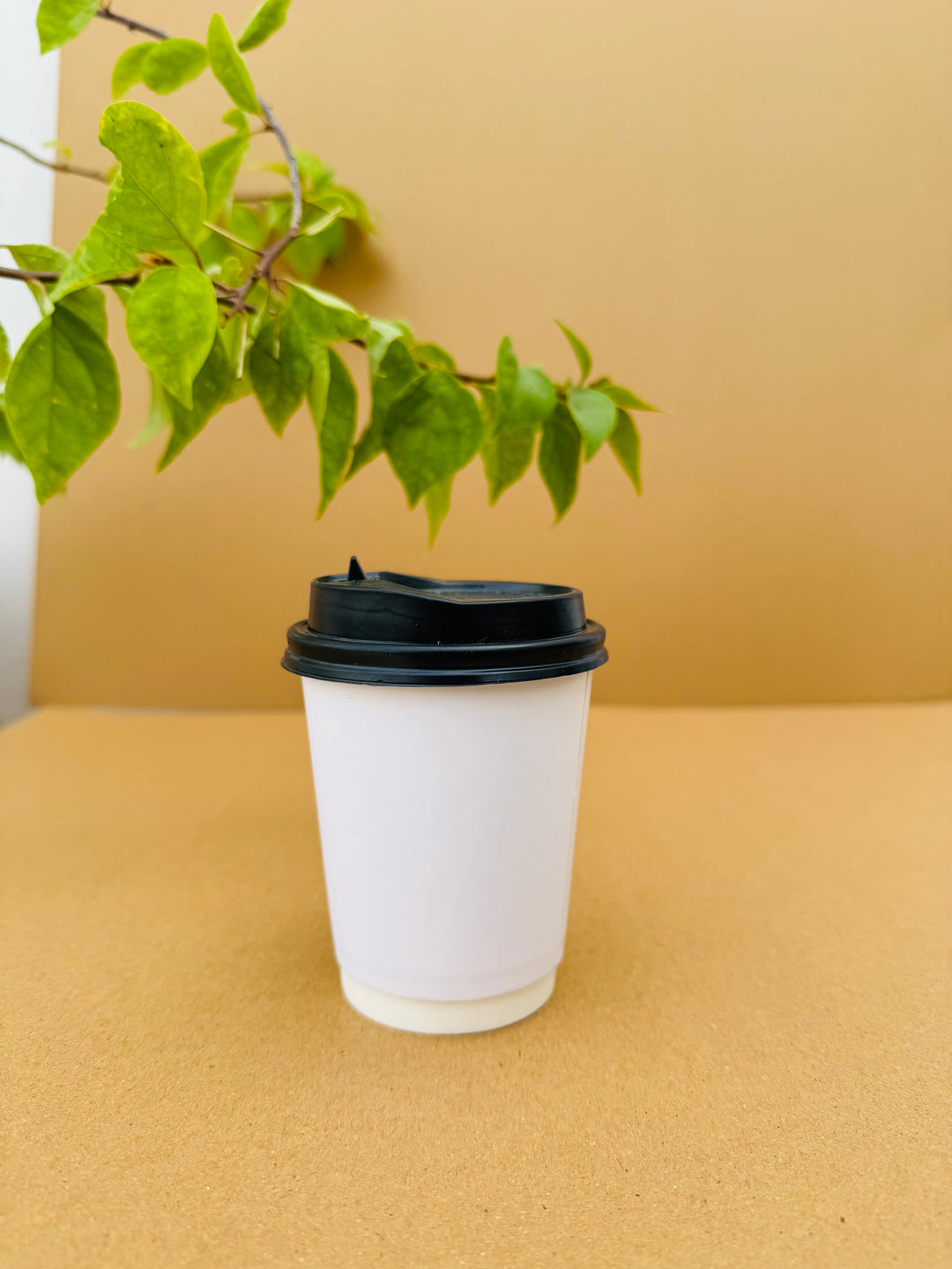 8 ounce double wall coffee cup with black lid