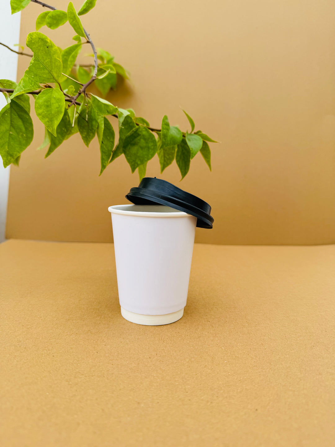 8 ounce double wall coffee cup with black lid