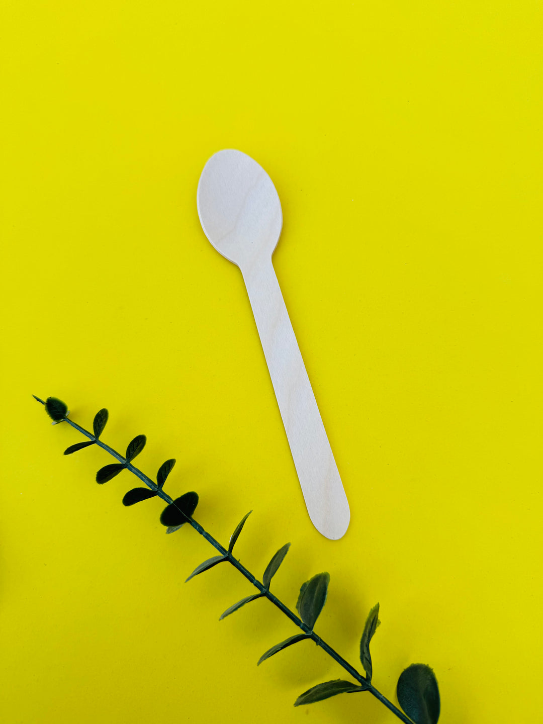 160mm birchwood disposable DINNER Spoon