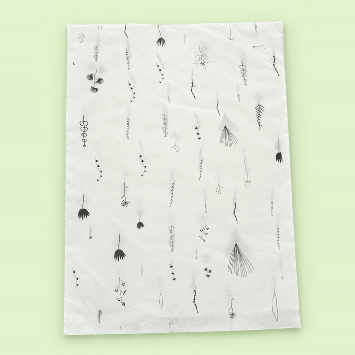Printed Butter Paper