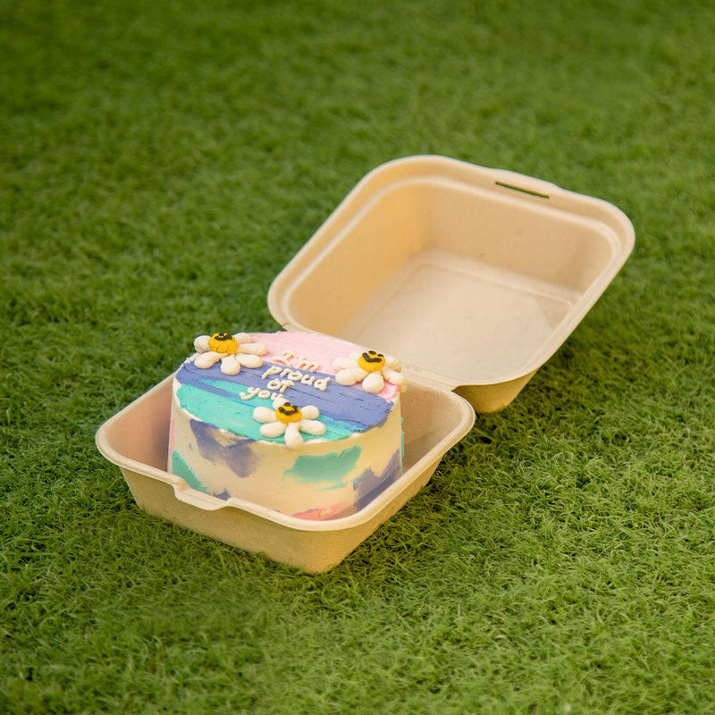 Bagasse Bento cake box/ Lunch box – EcoPakOnline