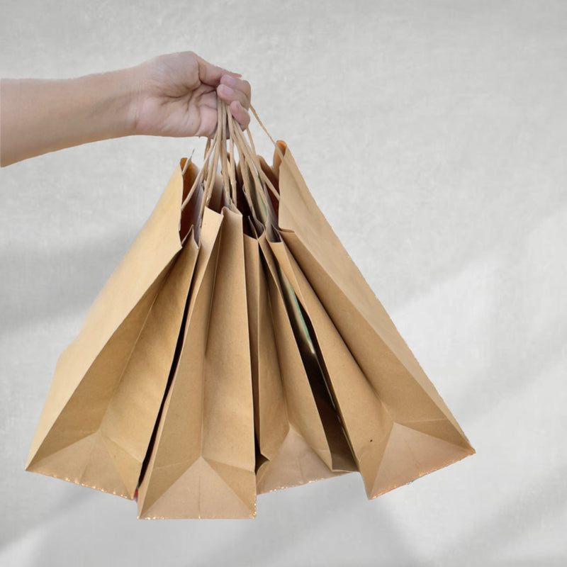 EcoPakOnline Kraft shopping/ Gift bag with twisted rope