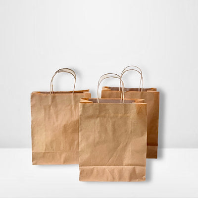 EcoPakOnline Kraft shopping/ Gift bag with twisted rope