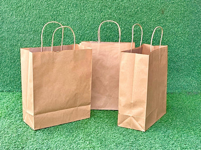 EcoPakOnline Kraft shopping/ Gift bag with twisted rope