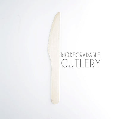 EcoPakOnline Disposable Cutlery 160mm birchwood disposable DINNER Knife