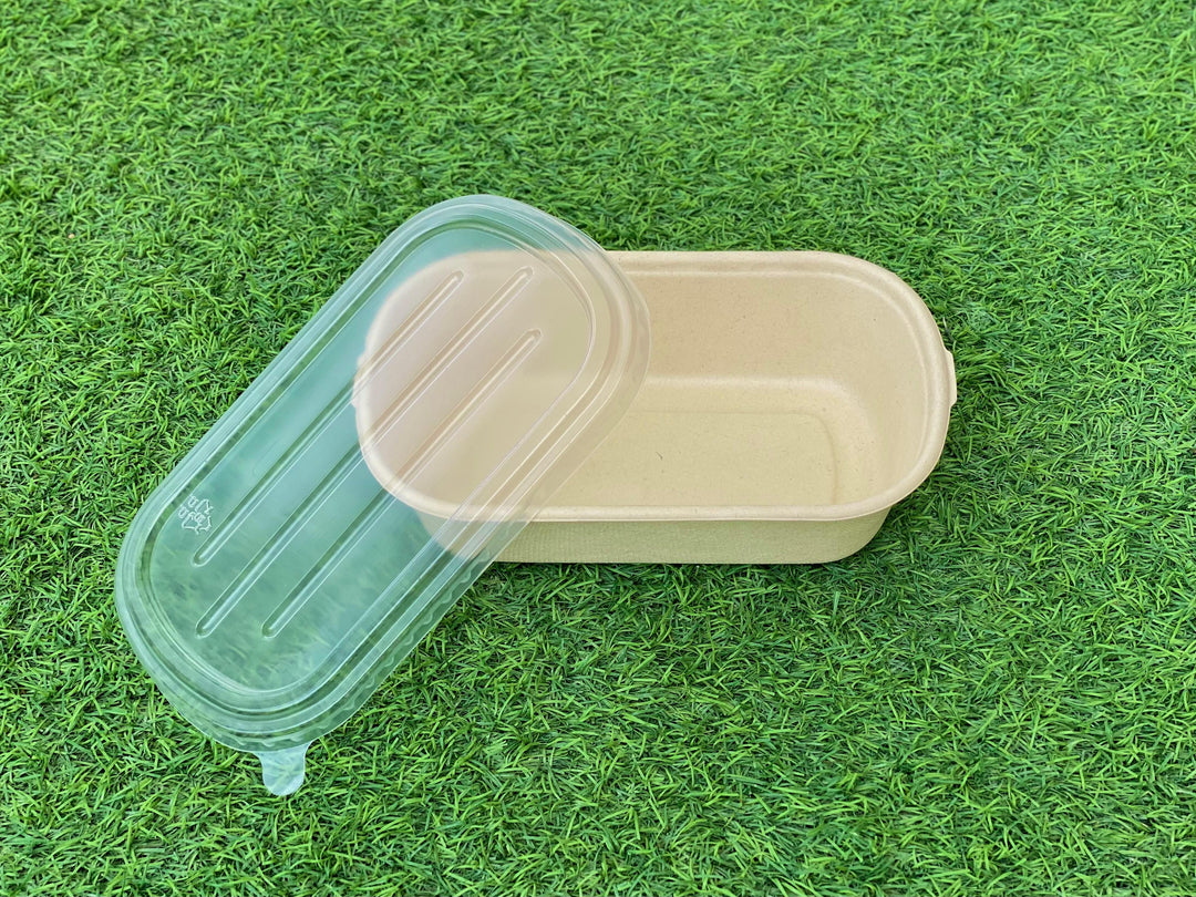 EcoPakOnline 700ml Bagasse (sugarcane pulp) bowl with lid