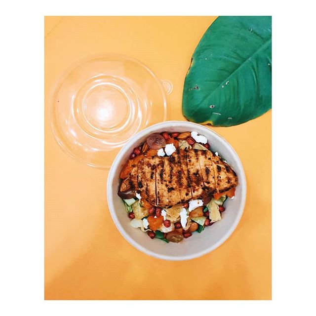EcoPakOnline 850ml Bagasse round bowl with lid