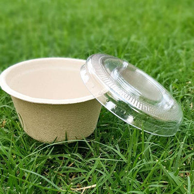 EcoPakOnline Bagasse range sample pack