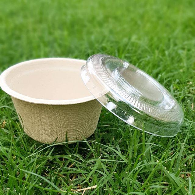 EcoPakOnline Bagasse range sample pack