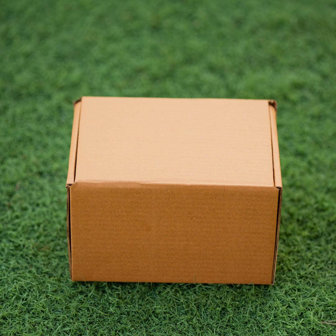 EcoPakOnline Small shipping box corrugated